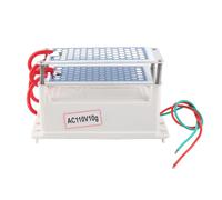 Purificateur d'air ozoniseur portable, générateur d'ozone, plaque céramique, contrôleurs industriels, 10G, AC110V