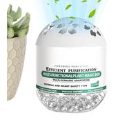 Purificateurs d'Air pour la Maison,Accessoires de Purification à Base de Naturelles | Filtre avec Fonction de Captation des Poussières - Pour Bureau Chambre Espace Animal de Compagnie