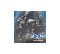 Purified in Pain – Damaged – CD