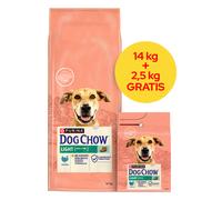 PURINA Dog Chow Adult Light Turkey 16,5 kg (14 kg + 2,5 kg GRATUITS !!)