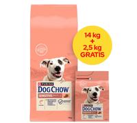 PURINA Dog Chow Adult Sensitive au saumon 16,5 kg (14 kg + 2,5 kg GRATUITS !!)