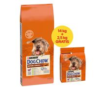 PURINA Dog Chow Mature Senior Agneau 16,5 kg (14 kg + 2,5 kg GRATUITS !!)