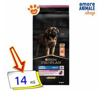 PRO PLAN Chien Large Adult Robust Sensitive Skin Riche en Saumon - 14 KG - Croquettes pour chiens adultes de grande taille