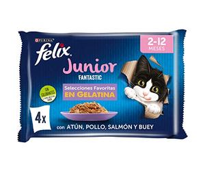 PURINA FELIX Fantastic Junior, 4 saveurs (Boeuf, Poulet, Thon, Saumon), (4x85gr) x 4