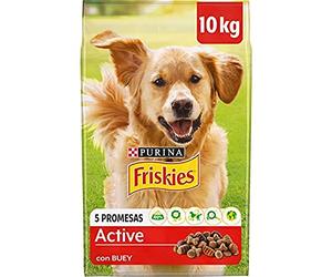 Purina Friskies Vitafit Active Alimentation pour Chien Adulte Bœuf 10 Kg