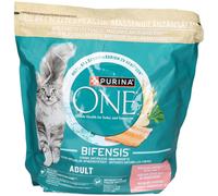 Purina ONE Adult Saumon & Haricots Verts Aliment 1,5 kg