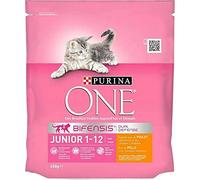 PURINA ONE Croquettes Chat Junior 1 à 12 Mois Poulet 450g (Lot de 6)