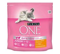 Purina – Croquettes pour chat One Junior – Poulet et céréales complètes – 1,5 kg