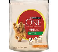 PURINA ONE Mini Active pour Chiens de Moins de 10 kg, Croquettes avec Poulet et Riz, 8 Paquets de 800 g
