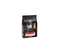 Purina Pro Plan Croquettes pour chien adulte Everyday Nutrition – Riche en poulet – Sac 3 kg