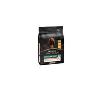 Purina Pro Plan - Everyday Nutrition - Croquettes Petit Chien Poulet - 3 kg