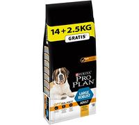Purina Pro Plan Sac de croquettes pour Chiens Adultes Robustes de Grande Taille Aliment Sec Riche en Poulet avec Optibalance™