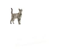 Purina Proplan Diet OM Chat Poulet 10 Sacs 85 Gr