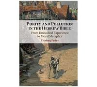 Purity And Pollution In The Hebrew Bible