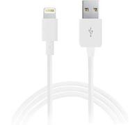 - Câble Lightning - USB type A mâle pour Lightning mâle - 1 m - blanc