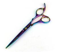Purple 6.0 pouces de coiffeur de haute qualité salon de coiffure professionnel ciseaux de coiffure (Cutting Scissors)