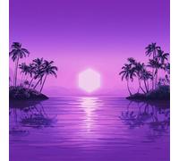 Purple Disco Machine – PARADISE – 2LP Vinyle translucide – Exclusivité Fnac