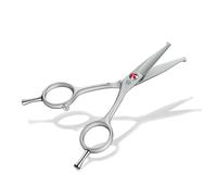 Purple Dragon Petits ciseaux pour chiens Ciseaux à fourrure droits avec revêtement anti-éblouissant gris professionnel et silencieux, tête ronde sûre, Straight Scissors