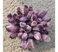 Purple Ghost Phantom Quartz Crystal Cluster Rock Stones and Crystals Home Ornaments (Size : 400-500g) Gemstone Stone