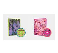 PURPLE KISS - 2nd Mini Album HIDE & SEEK (Random ver.) CD