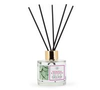 Purple River Diffuseur en verre 100 ml