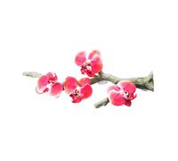 PURPLELILY Branche d'angle pour reptiles grimpante pour terrariums - Ventouse décorative pour tortues et lézards