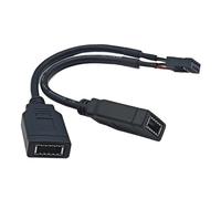 PURPLELILY Câble USB 2.0 9 broches vers 2 ports de type E avec port C en façade convertit 9 broches en USB 2.0 pour une meilleure intégration des périphériques Connecteurs du panneau avant C