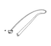 PURPLELILY Collier pour cendres funéraires pour animaux de compagnie - Médaillon urne gravé en argent
