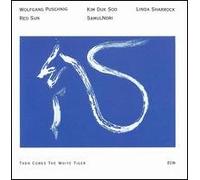 Puschnig, Wolfgang - Then Comes The White Tiger