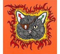 Push-Pull - Between Noise & The Indians [Import]