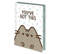 Pusheen - Cahier YOU´VE GOT THIS (BS3088)