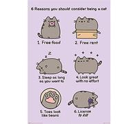 Pyramid International Affiche Pusheen 'Reasons to Be a Cat' 61 x 91.5 cm Maxi