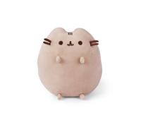 Pusheen sitting