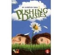 PUSHING DAISIES 1-VN G