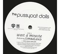 PUSSYCAT DOLLS - wait a minute 12