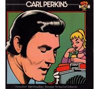 Put Your Cat Clothes on