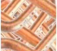 PUTANGE - 10 Détentes pour Piège à Taupe de Type "Putanges"