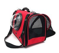 Puthernm 100 Pièces de Forets pour Cloisons Sèches, Forets de Coupe à Pointe Pilote, Diamètre de Toupie pour Cloisons Sèches pour Scies en Spirale (5/32 Pouces)