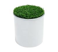 Putting Cup - Outil d'entraînement de golf pour l'intérieur
