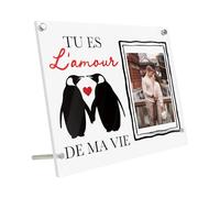 Putuo Decor Cadre Acrylique 20x25 cm Couple, Message “Tu ES l’Amour de ma Vie”, Pingouins cœur Rouge, décoration Chambre Salon, Cadeau Saint-Valentin Anniversaire Mariage