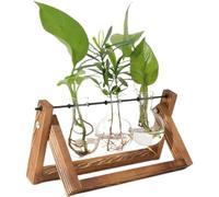 PUWOWYE Station de Propagation pour Plantes avec Support en Bois, Vases Ampoule en Verre Vintage, Vase Plante Hydroponique, Cadeau Fete des Meres Peres pour Femme Homme