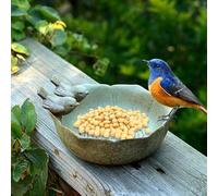 PUXZYAX Bain d'oiseaux en résine de qualité supérieure conçu avec Un Bol de Bain d'oiseaux moulu de Style garantissant Que Les Oiseaux sont Les bienvenus