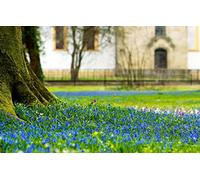 Puzzle 100, Beauté Naturelle, châteaux, clairières, Fleurs 45,5 x 35,5 cm