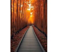 Puzzle 100 Pieces Adultes Chemin Jardin d'automne 40x28 cm, Examinez Les pièces, Découvrez Les Indices et Résolvez l'enquête, Puzzle Adulte 100 Pièces