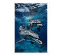 Puzzle 100 Pieces Adultes Dauphin L'Océan, Défis Amusants Détente Créativité Puzzle Impossible, Puzzles pour Adultes 100 Pièces 40 x 28 cm