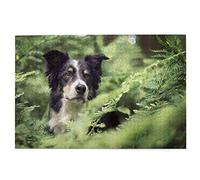 Puzzle 100 pièces Border Collie Chiens Forêt Bokeh Animaux Noir Blanc Puzzle Jouet Jeu Familial Décoration Murale pour Adultes Ados 45,5x35,5CM