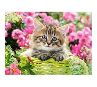 Puzzle 100 pièces : Chaton dans le jardin fleuri