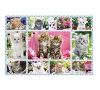 Puzzle 100 Pièces : Chatons, Schmidt Spiele G