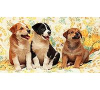Puzzle 100 pièces Chien Mignon, Puzzle Impossible pour Adultes et Enfants, recommandé pour Les interactions Entre Adultes et Enfants, Jeu à Faire soi-même, Cadeau 45,5 x 35,5 cm