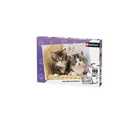 Puzzle 100 pièces Duo de chatons